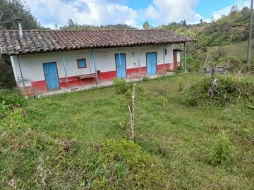 VENDO FINCA DE TRABAJO EN CONCEPCIÓN ANTIOQUIA.