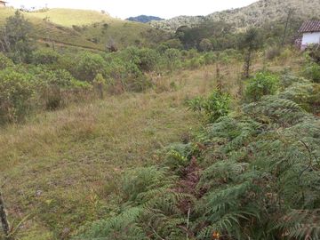 VENDO FINCA DE TRABAJO EN CONCEPCIÓN ANTIOQUIA.