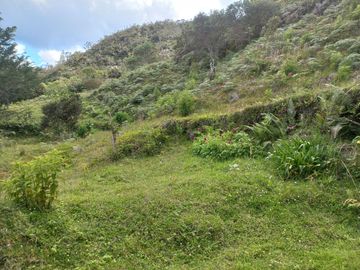 VENDO FINCA DE TRABAJO EN CONCEPCIÓN ANTIOQUIA.