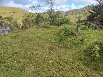 VENDO FINCA DE TRABAJO EN CONCEPCIÓN ANTIOQUIA.
