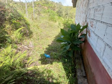 VENDO FINCA DE TRABAJO EN CONCEPCIÓN ANTIOQUIA.