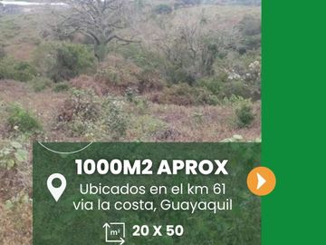 Se venden hermosos terrenos de 1000m2 aprox en el KM61,5 Via la costa con el 40% de descuento