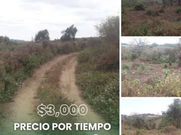 Se venden hermosos terrenos de 1000m2 aprox en el KM61,5 Via la costa con el 40% de descuento