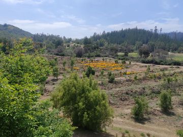 Vendo espectaculares parcelas de 3 Hectáreas en el hermoso sector de Melosilla en Casablanca