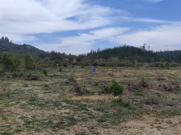 Vendo espectaculares parcelas de 3 Hectáreas en el hermoso sector de Melosilla en Casablanca