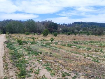 Vendo espectaculares parcelas de 3 Hectáreas en el hermoso sector de Melosilla en Casablanca