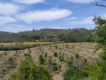 Vendo espectaculares parcelas de 3 Hectáreas en el hermoso sector de Melosilla en Casablanca
