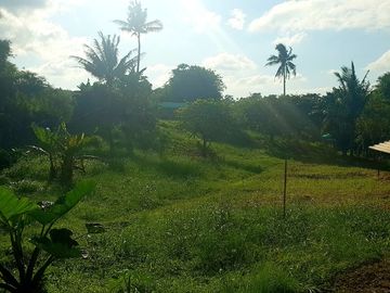 Resort-Type Property near Tagaytay, Brgy Bucal Silang Cavite