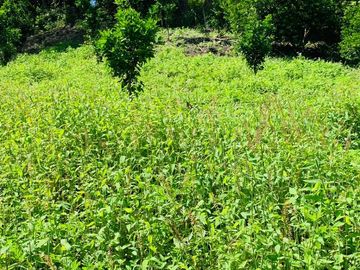 Quinta en venta ubicada en Yunguilla