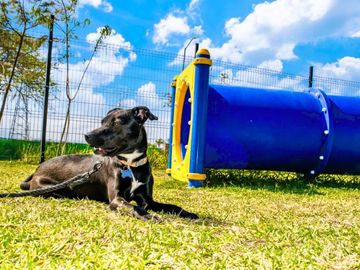 DEPA CON ALBERCA Y CANCHA DE PADEL EN VENTA AL SUR DE CUERNAVACA