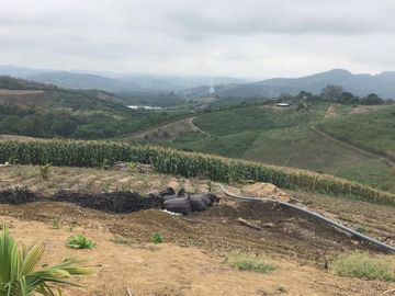 F27 - Venta Hacienda Agrícola en Portoviejo Manabí 32 ha