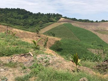 F27 - Venta Hacienda Agrícola en Portoviejo Manabí 32 ha