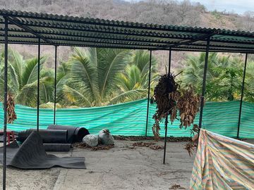 F27 - Venta Hacienda Agrícola en Portoviejo Manabí 32 ha