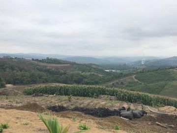 F27 - Venta Hacienda Agrícola en Portoviejo Manabí 32 ha