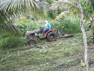 F27 - Venta Hacienda Agrícola en Portoviejo Manabí 32 ha