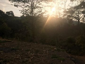 F27 - Venta Hacienda Agrícola en Portoviejo Manabí 32 ha
