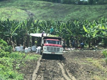F27 - Venta Hacienda Agrícola en Portoviejo Manabí 32 ha