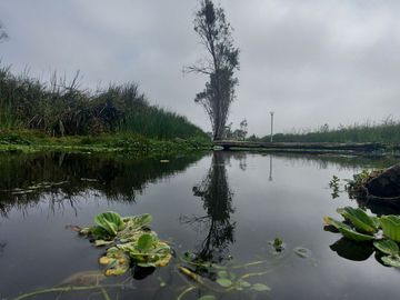 VENTA DE LOTES EN CONDOMINIO DE CAMPO MALA CAÑETE