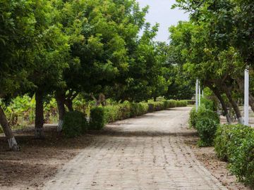 VENTA DE LOTES EN CONDOMINIO DE CAMPO MALA CAÑETE