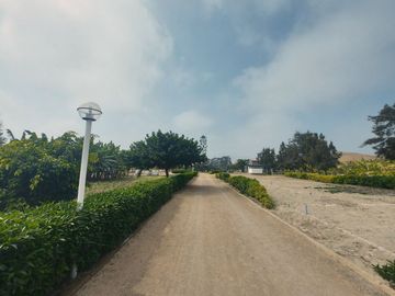 VENTA DE LOTES EN CONDOMINIO DE CAMPO MALA CAÑETE