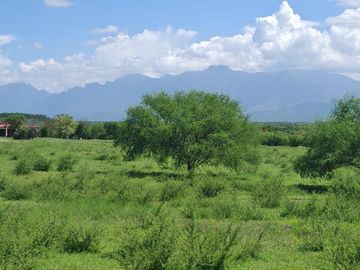 Rancho en La Unión, Montemorelos, Nuevo León.
