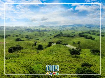 Se Vende: Finca agrícola/ganadera bien explotada en Las piedras de Mongolla, Chone