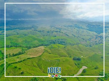 Se Vende: Finca agrícola/ganadera bien explotada en Las piedras de Mongolla, Chone