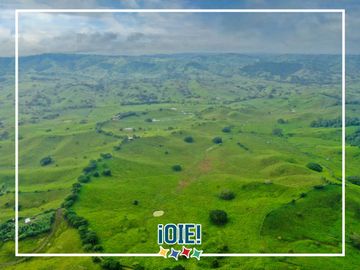Se Vende: Finca agrícola/ganadera bien explotada en Las piedras de Mongolla, Chone