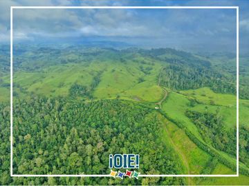 Se Vende: Finca agrícola/ganadera bien explotada en Las piedras de Mongolla, Chone