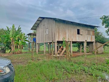 Se Vende: Finca agrícola/ganadera bien explotada en Las piedras de Mongolla, Chone