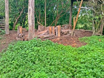 Se Vende: Finca agrícola/ganadera bien explotada en Las piedras de Mongolla, Chone