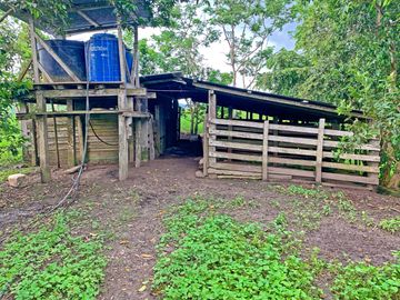 Se Vende: Finca agrícola/ganadera bien explotada en Las piedras de Mongolla, Chone