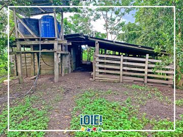 Se Vende: Finca agrícola/ganadera bien explotada en Las piedras de Mongolla, Chone