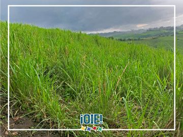 Se Vende: Finca agrícola/ganadera bien explotada en Las piedras de Mongolla, Chone