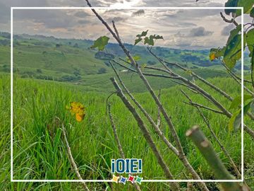 Se Vende: Finca agrícola/ganadera bien explotada en Las piedras de Mongolla, Chone