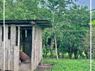 Se Vende: Finca agrícola/ganadera bien explotada en Las piedras de Mongolla, Chone