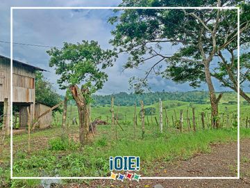 Se Vende: Finca agrícola/ganadera bien explotada en Las piedras de Mongolla, Chone