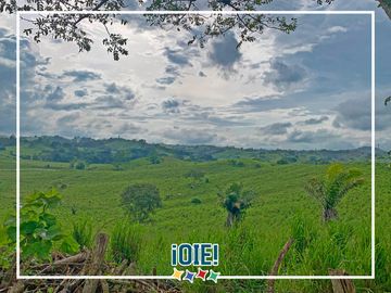 Se Vende: Finca agrícola/ganadera bien explotada en Las piedras de Mongolla, Chone