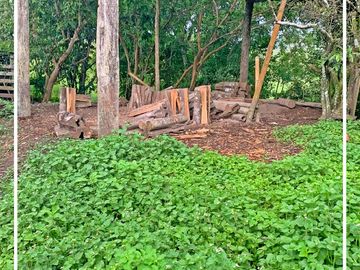 Se Vende: Finca agrícola/ganadera bien explotada en Las piedras de Mongolla, Chone