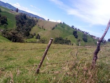 Venta Finca (Lote) en Ovejas San Pedro de los Milagros Antioquia