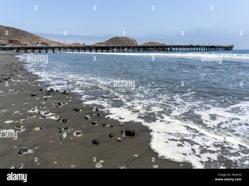 TERRENO DE OCASION EN CERRO AZUL IDEAL PARA CASA DE CAMPO U HOSPEDAJE