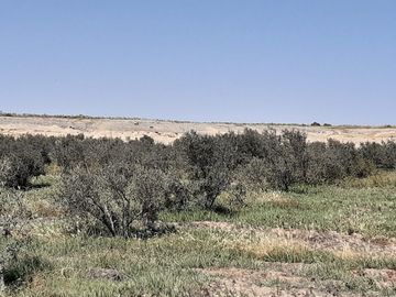 Terreno Agricola en venta en Pisco