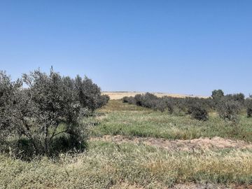 Terreno Agricola en venta en Pisco