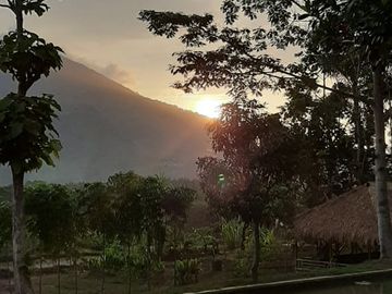 Tanah 2 Hektar Pinggir Jalan Raya Mandalawangi Pandeglang