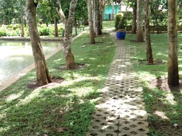 Tanah 2 Hektar Pinggir Jalan Raya Mandalawangi Pandeglang