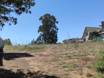 SITIO URBANO EN EL QUISCO, APTO PARA DESARROLLO INMOBILIARIO, Valor rebajado