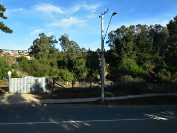 SITIO URBANO EN EL QUISCO, APTO PARA DESARROLLO INMOBILIARIO, Valor rebajado