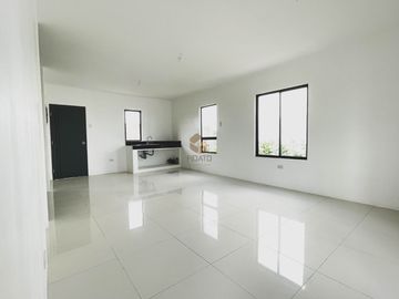 Spacious and luxurious House and Lot near in Metro Manila