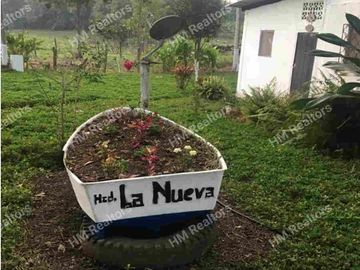 Venta de hacienda de 100 hectáreas con 30 hectáreas de teca sembradas en Balzar