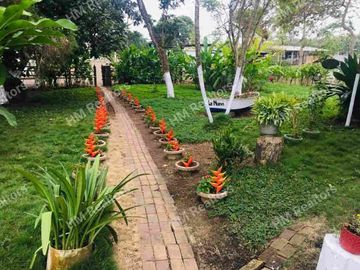 Venta de hacienda de 100 hectáreas con 30 hectáreas de teca sembradas en Balzar
